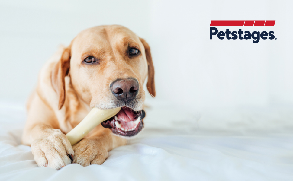 Amazon.com: Petstages Chick-A-Bone Dog Chew Toy – Chicken