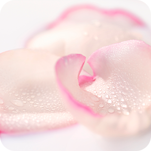 ÁGUA DE ROSAS ORG NICA