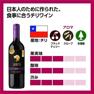 ワイン 赤ワイン 白ワイン スパークリングワイン サンタ アルパカ プードゥー チリ カベルネ シャルドネ ソーヴィニヨンブラン メルロ シラー カルメネール プティヴェルド ロゼ セット 箱