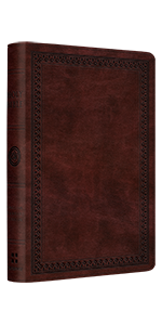 ESV Compact Bible, TruTone, Mahogany, Border Design