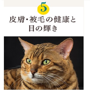 Small manufacture image 7