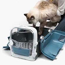 Transportbox, Kat.