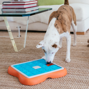 Nina Ottosson by Outward Hound Dog Puzzle Games