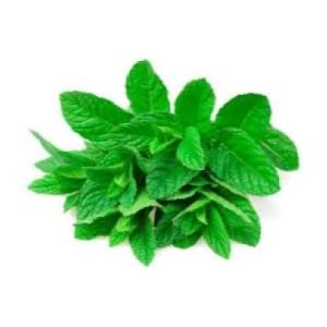 Menta Higiene Sabonete Liquido Sabão Limpeza Mãos Perfume Boni Natural Vegetal Vegano antisseptico