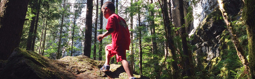 family hikes, washington hikes for kids, family hiking trails, short trails washington, WTA
