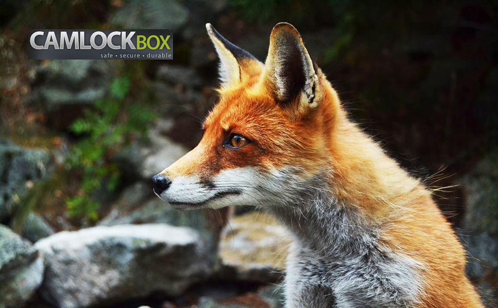 Large manufacture image 1