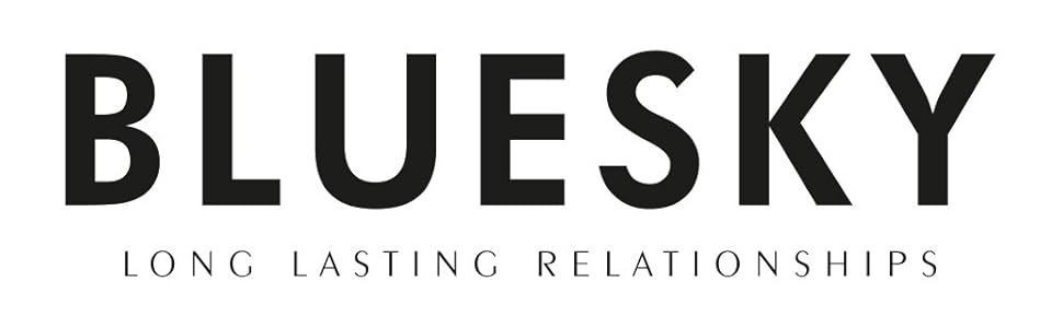 Bluesky Logo