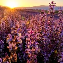 Small manufacture image 7