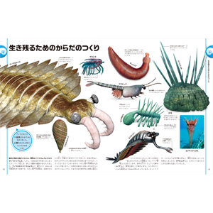 洋書多読　図鑑など7冊　恐竜　鉱物　古生物encyclopedia 人体 71ZjRIOYSuL.jpg