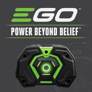 EGO, power beyond belief