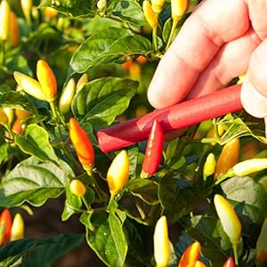 Small manufacture image 3