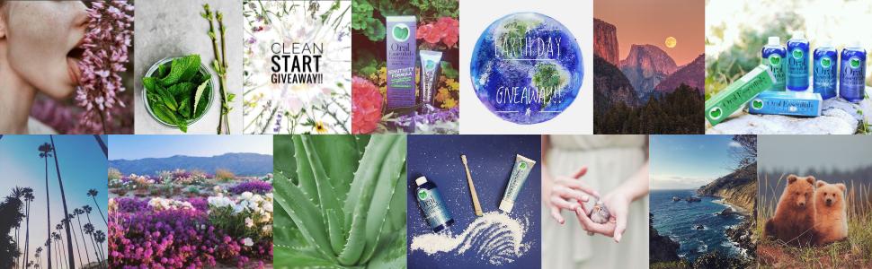 oral essentials, health, natural, organic healthy best mouthwash toothpaste toothbrush floss