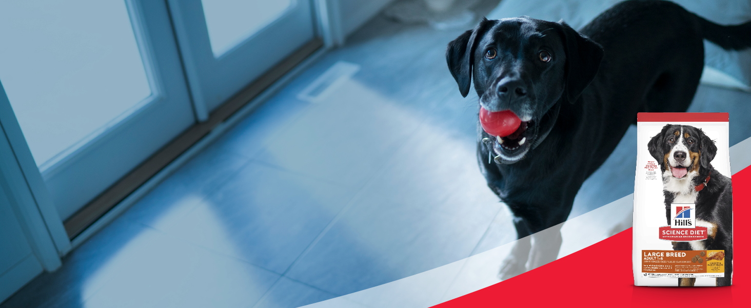 Hill's Science Diet Large Breed Puppy Chicken Dry Dog Food 12kg