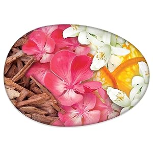 Daily Silk Silkening Beauty Bar