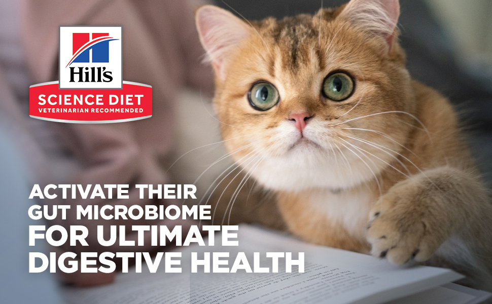 Hill's Science Diet Adult Perfect Digestion Cat Food - 3.5 lb 20 cat feline digestive microbiome gut health
