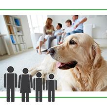 arlo;arlo camera;canary;cctv;home security;home security system;lorex;lorex 1080p;lorex 4 channel wi