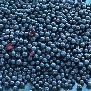 bilberries