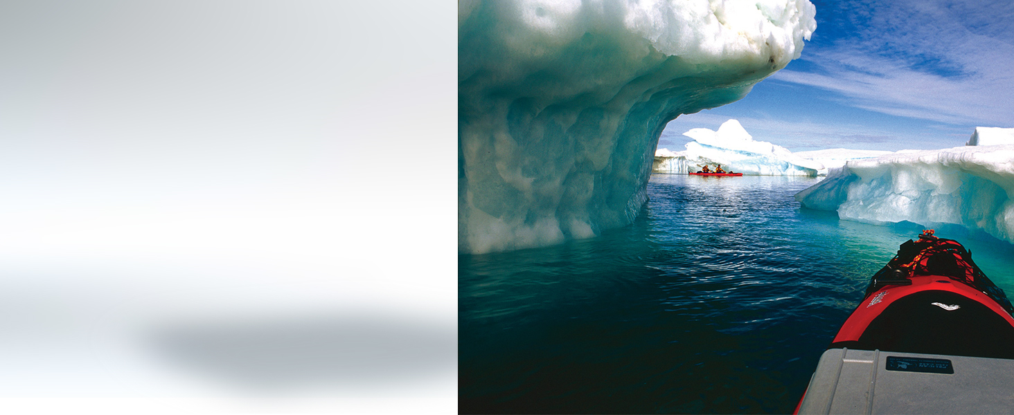 Pelican 1150 Camera Case With Foam (Orange) Electronics