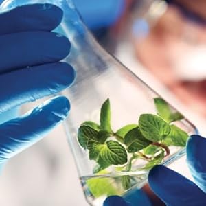 Reagenzglas, Extrakt, Forschung, Gemüse, Titration, Innovation, Prüfung, Sicherheit, Qualität
