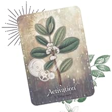 Ilex paraguariensis;yerb mate;activation;new;start;energy;herbal;magick;magick;holistic;wellness