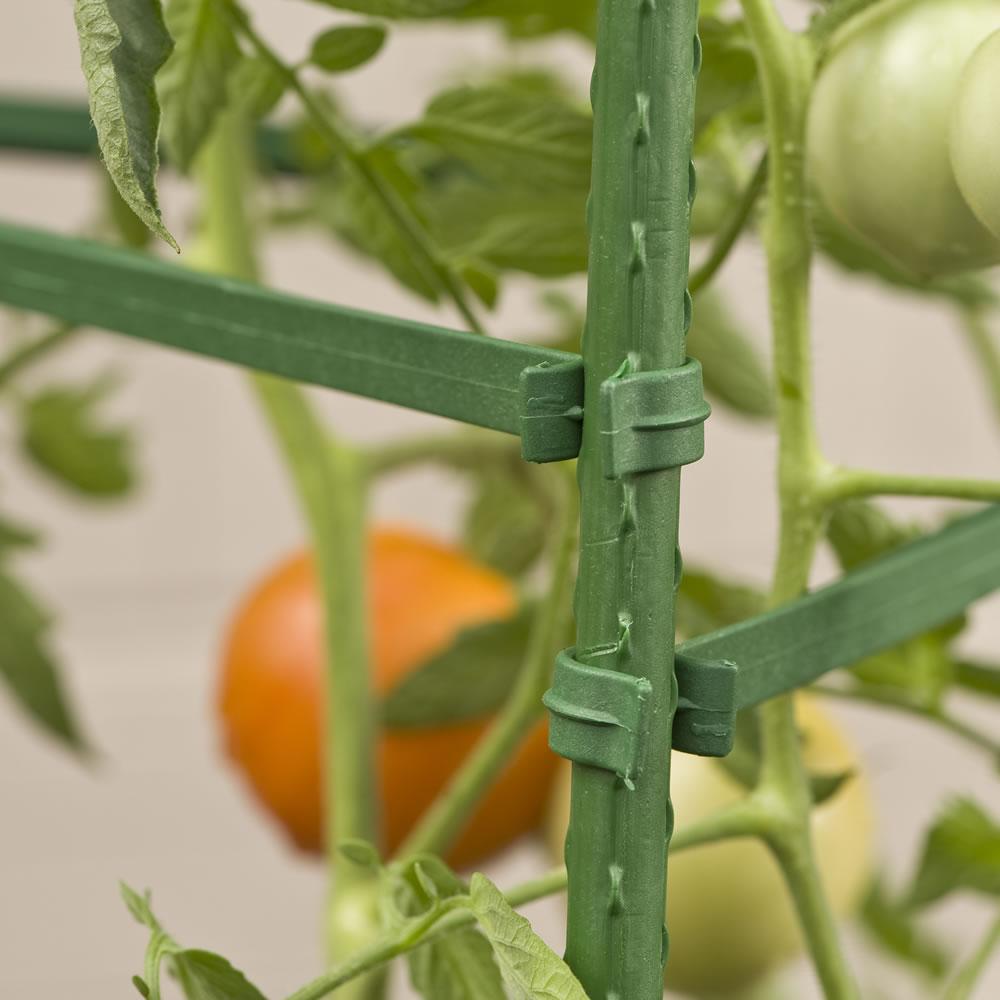 YARDGARD Gardener's Blue Ribbon 3Pack Ultomato Tomato