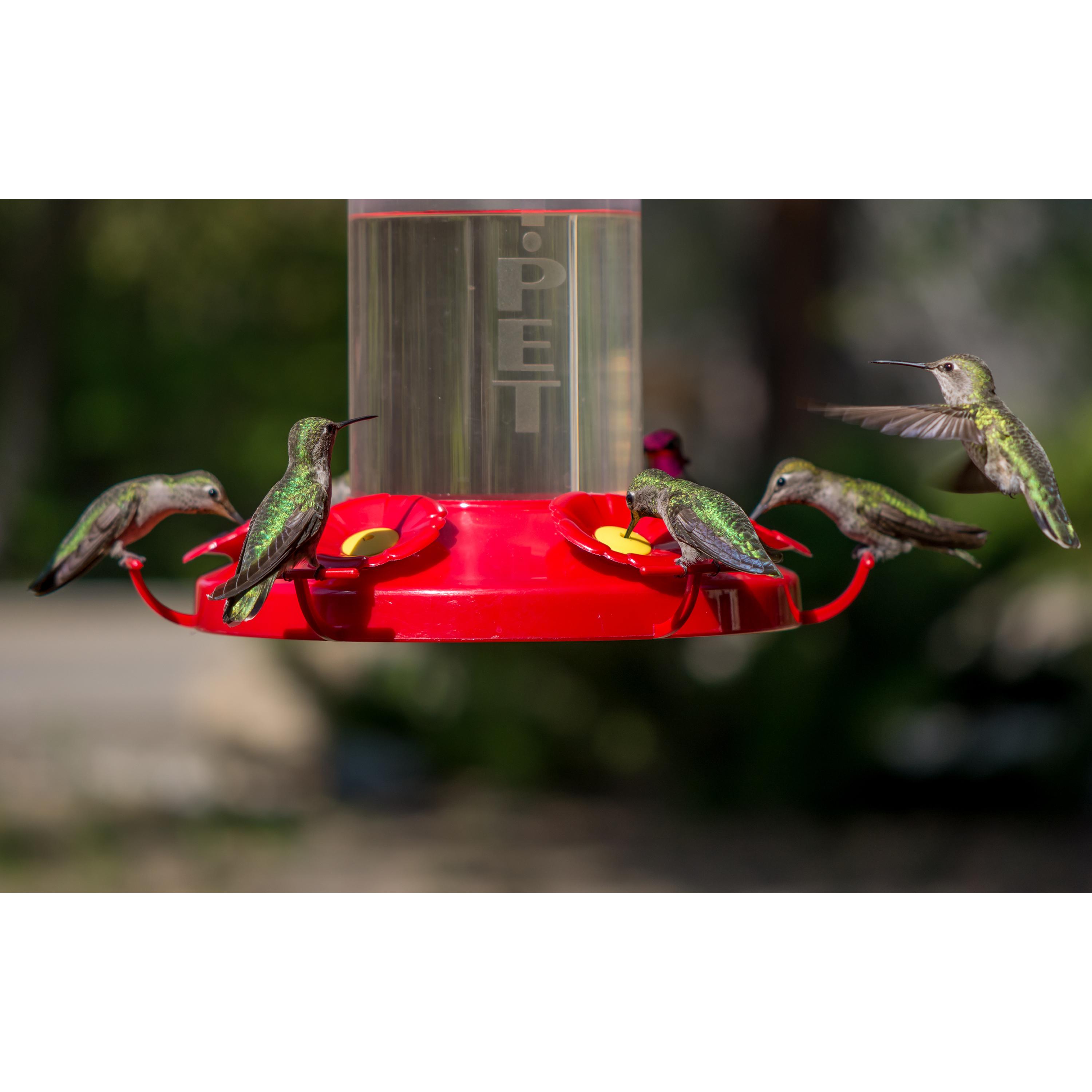 PerkyPet 220 The Grand Master 48Ounce Hummingbird Feeder