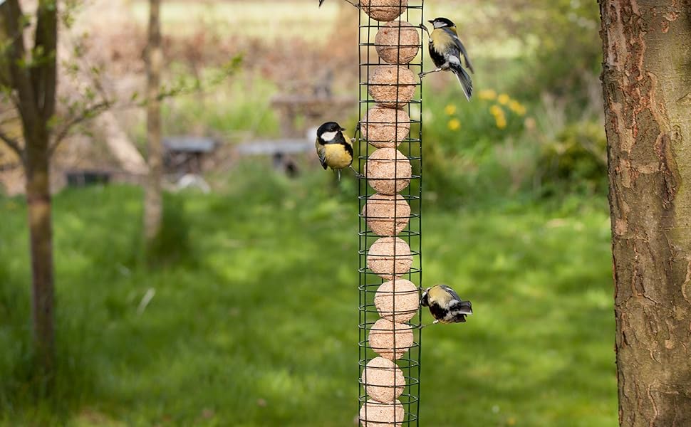 Fallen Fruits Ltd SUET BALL DISPENSER (X LARGE) Amazon.co.uk Garden