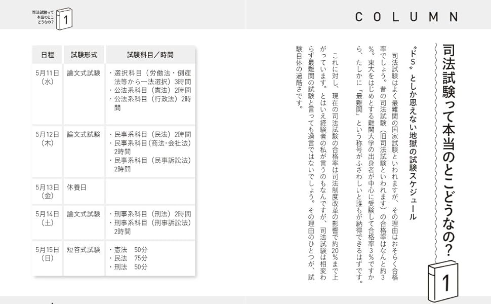 司法試験1発合格弁護士が教える 1時間分の成果を10分で出す 超ズル賢い勉強法 藪田 崇之 本 通販 Amazon