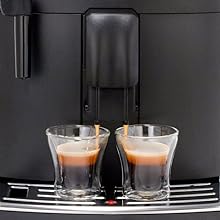Gaggia Adapting System