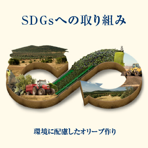 SDGs