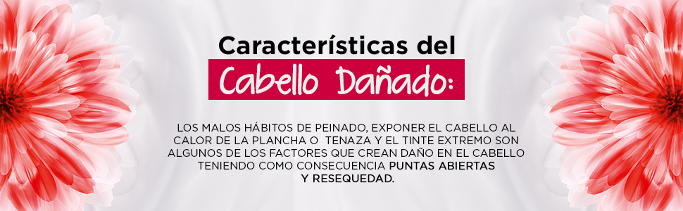 8243fcb2-74c0-4dff-91cc-2820b87d5c8e.__C