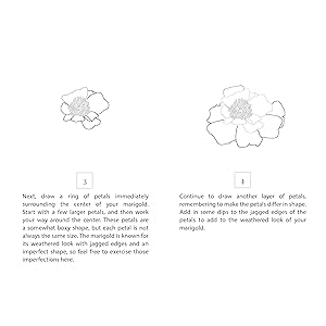 How To Draw Modern Florals An Introduction To The Art Of Flowers Cacti And More Koch Alli Paige Tate Co 9781944515508 Amazon Com Books