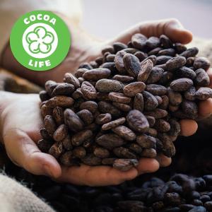 Cocoa