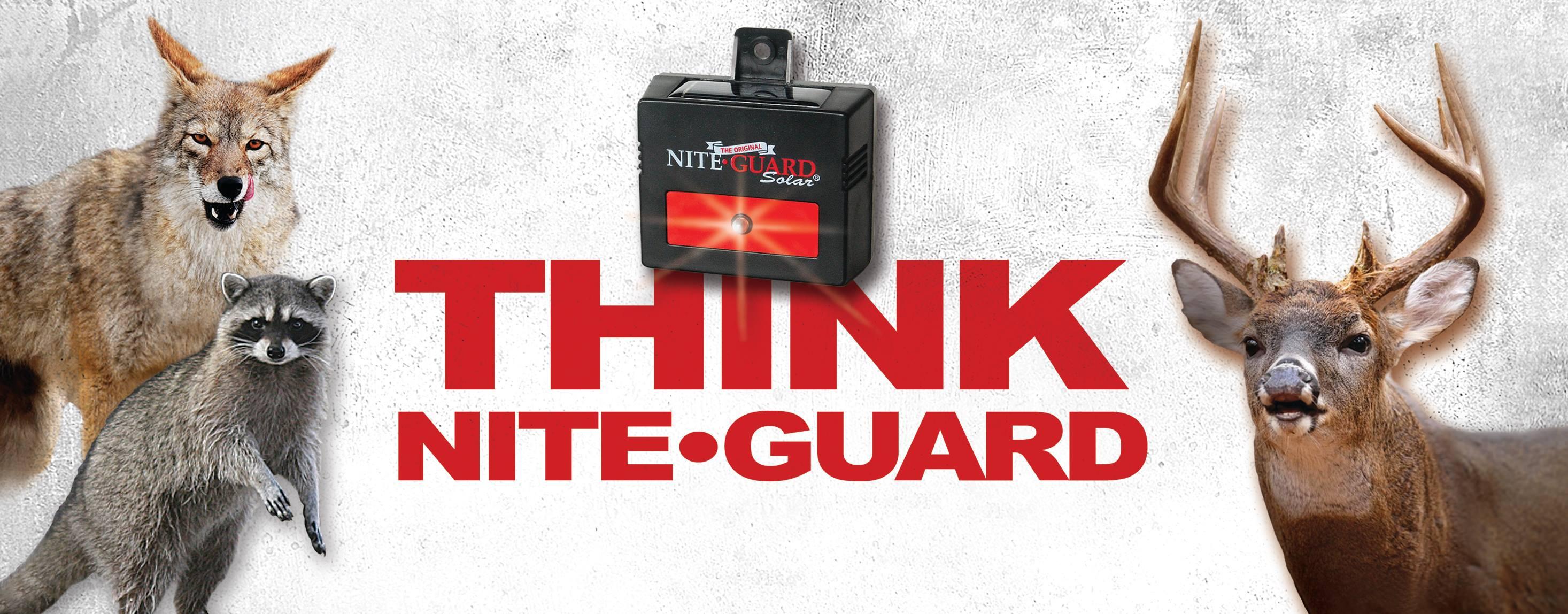 Nite Guard Solar Predator Control Light, 4Pack Home