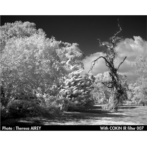 Small manufacture image 2