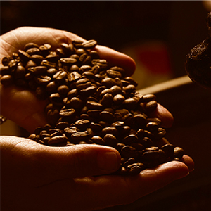 Nescafe slowly roasted Coffee Beans