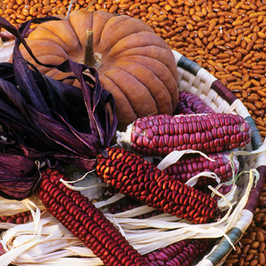 self-reliance, soil, prep, seed saving, garden, gardening, growing, organic, food, corn, potatoes