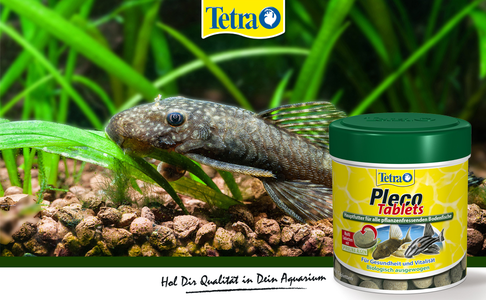 Banner Tetra Pleco Tabletten