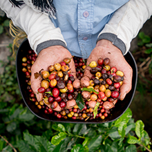 Small manufacture image 9