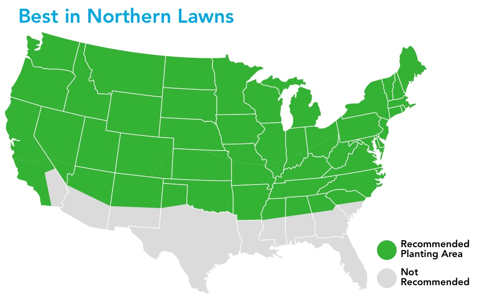 Water Saver 5 Lb. 500 Sq. Ft. Coverage Tall Fescue Grass