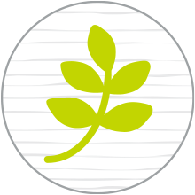 Small manufacture image 11