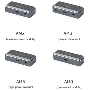 Amazon.co.jp: 【国内正規品】 FiiO X7 フラッグシップ