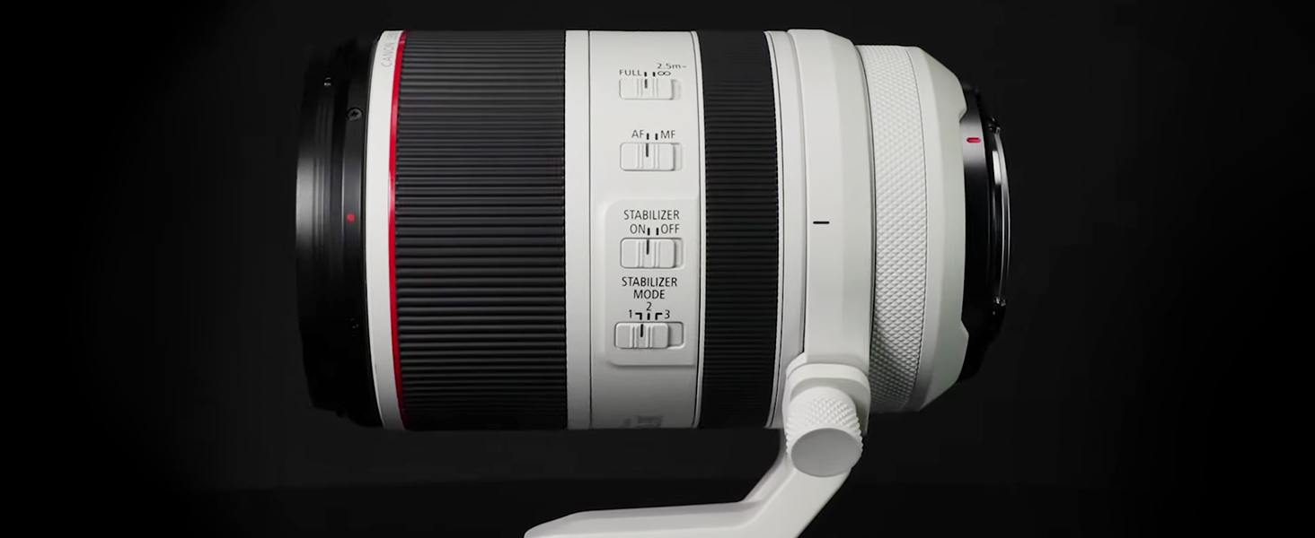 Amazon.com : Canon RF70-200mm F2.8 L is USM Lens, Mirrorless