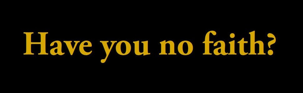 Have you no faith? Pope Francis