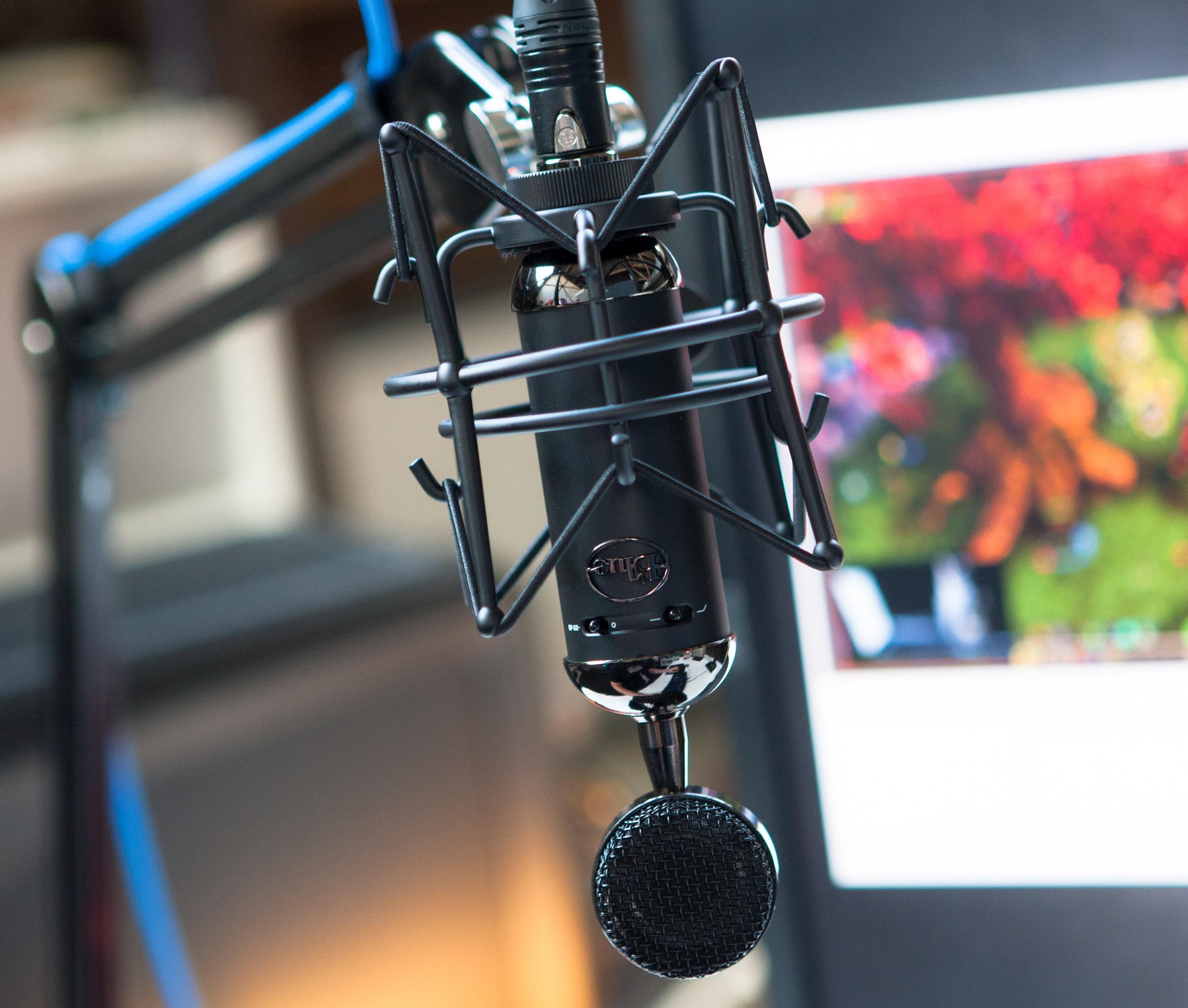 Blue Microphones Spark Blackout SL XLR Condenser Mic for Pro Recording and Streaming Amazon.co