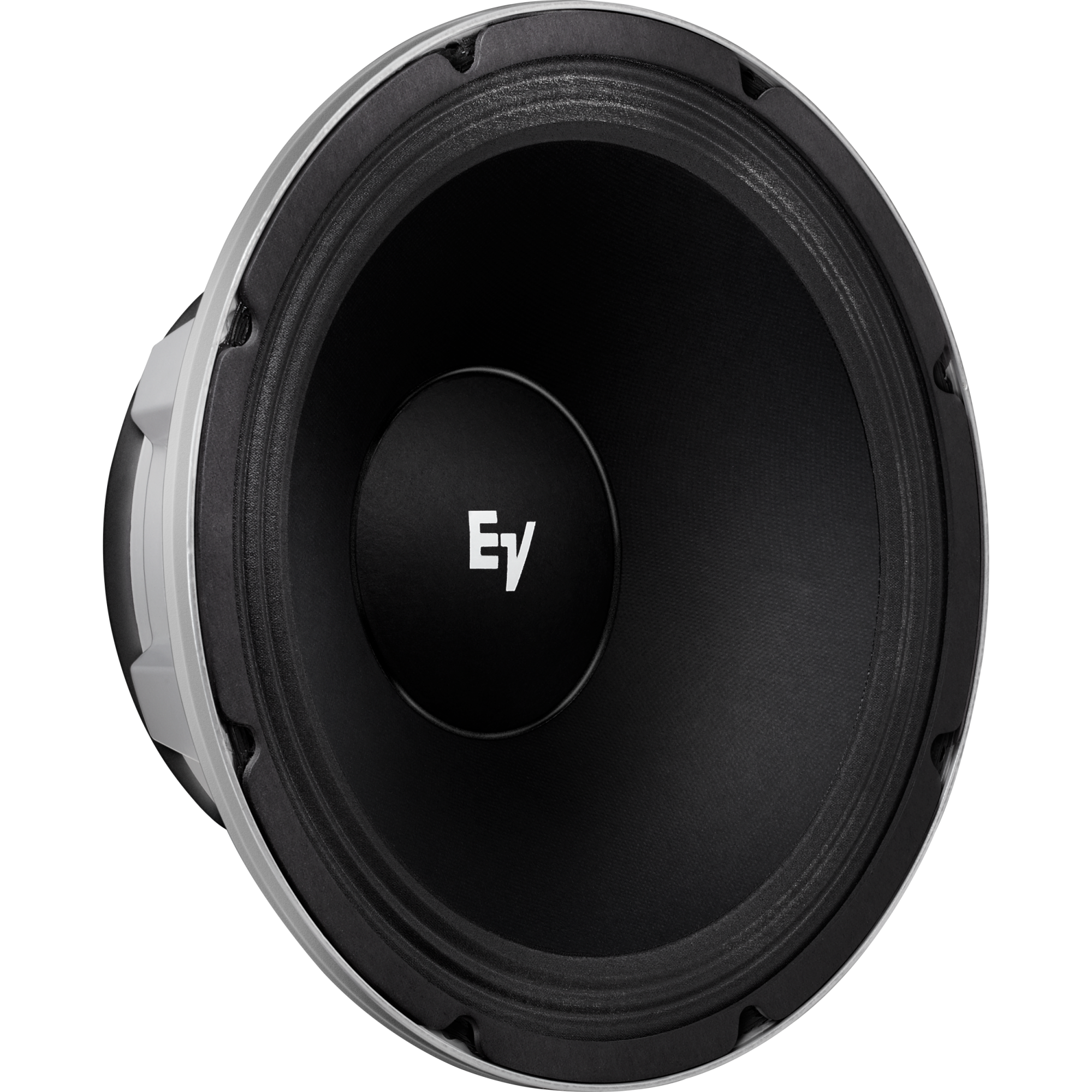 ElectroVoice EVM12L BlackLabel 12" Zakk Wylde Signature