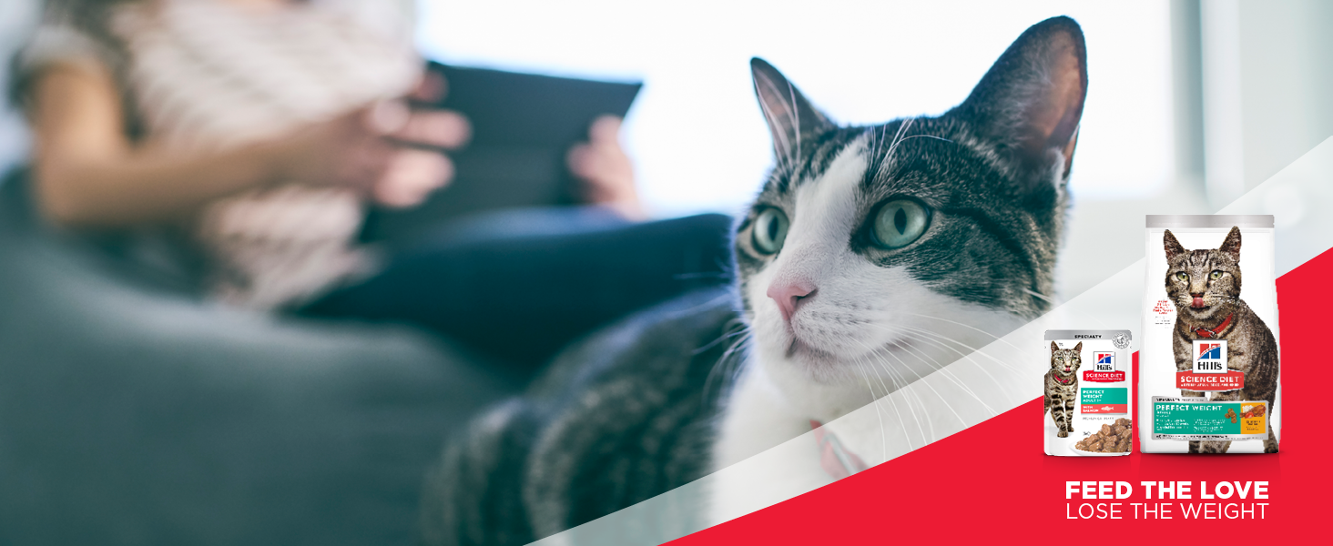 Hill's Science Diet Sensitive Stomach and Skin Adult, Chicken and Rice