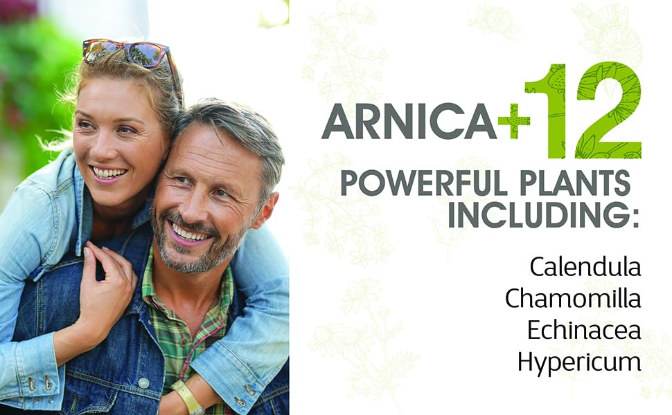 arnica powerful plant ingredients homeopathy 