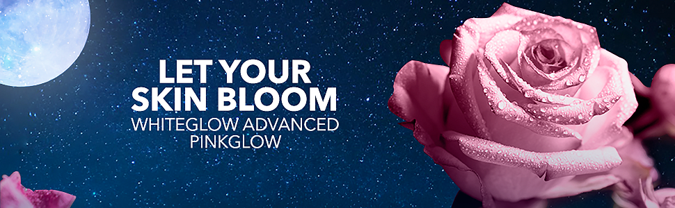Head Banner