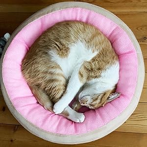 ちゃこさまのページ 🤍